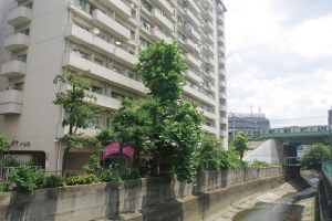 トキワパレス（下落合1丁目）